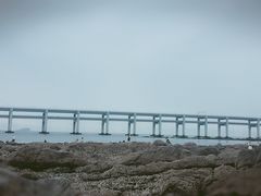 -黑石礁公园