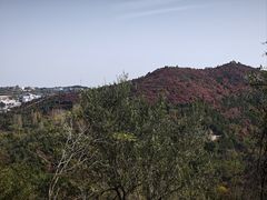 -青龙山生态文化旅游区