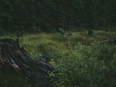 -硗碛藏寨·神木垒景区