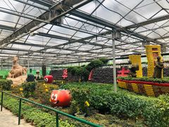 -兰陵国家农业公园