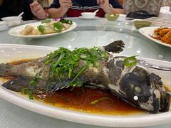 -湛江渔港·大排档(乐园路总店)
