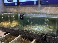 -海鲜e族(马王堆店)