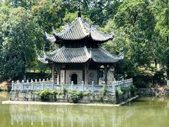 -习家池