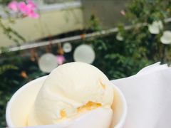 -哈根达斯(深圳海岸城店)