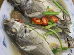 -长平肥姐白粥·海鲜打冷