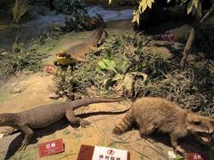 -陕西自然博物馆