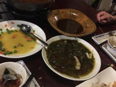-四季春