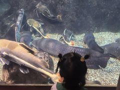 -太平洋海底世界