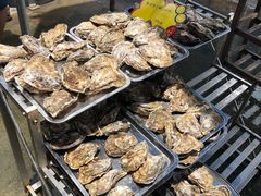 韩国进口鲜活岩蚝-蚝专家(北滘店)