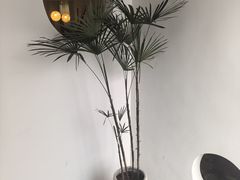 -素境采耳(管仲公园店)