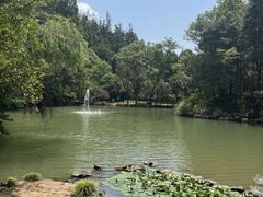 -灵栖洞天