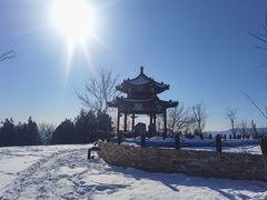 -白水寺森林公园