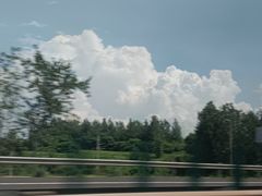 -万达广场(泰安泰山店)