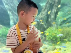 -福州罗源湾海洋世界旅游区