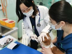 -瑞派申生动物医院·24H夜诊·国际动物医疗中心·骨外科(吴中路店)