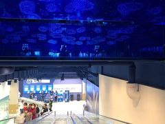 -盒马X会员店(上海森兰商都店)