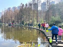-重庆彩云湖湿地公园