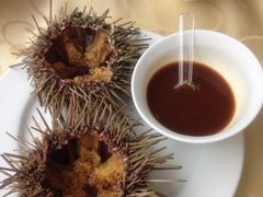 生吃海胆-海岛渔村大酒店(云霄路店)