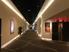 -嘉华国际影城(学清路店)