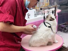 -FAELING PETS美天灵宠物(富力广场店)