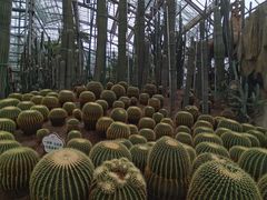 -南山植物园