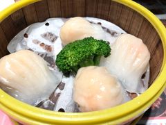 -雍哲港式餐厅(现代广场店)