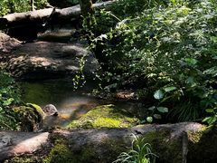 -五营国家森林公园