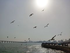 -星海广场