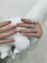-UMl Nail 尤米美甲美睫半永久