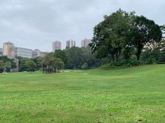 -平安（深圳）金融教育培训中心