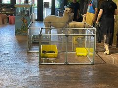 -杭州开元森泊度假乐园