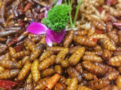 -老滇山寨•云南特色菜•地方菜•民族风情歌舞表演(金碧店)