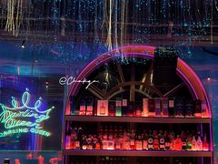 -Darling Queen·Mini·Live·House