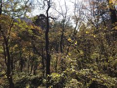 -北京上方山国家森林公园