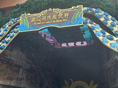 -西双版纳原始森林公园
