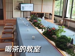 -中国茶叶博物馆(双峰馆区)
