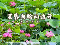 -南翠屏公园