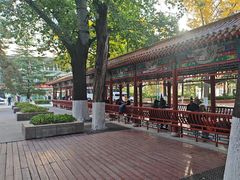 -中国人民解放军总医院