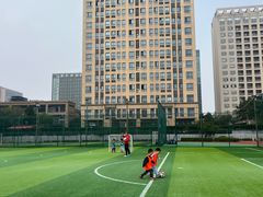 -小赛虎少儿足球培训(南翔校区)