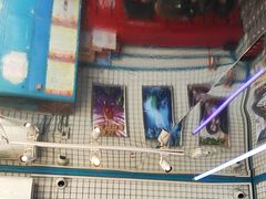 -移动谜城·大笨象密室逃脱(五棵松店)