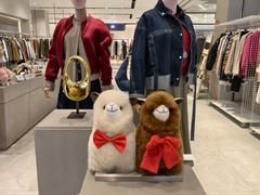 -the balancing(东方店)