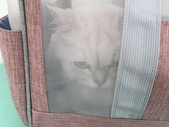 -瑞鹏宠物医院·骨科·猫科·内科(第一中心)