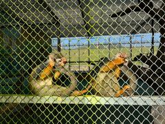 -汤山紫清湖旅游区