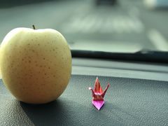 -乾山寿司(好运街店)