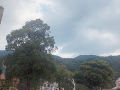 -达蓬山星梦乐园