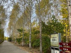 -绥化市森林植物园