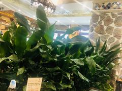 -巴依老爷新疆美食(望京小街店)