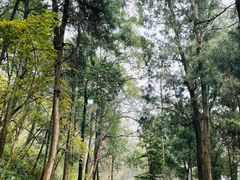 -金堂县云顶石城风景区