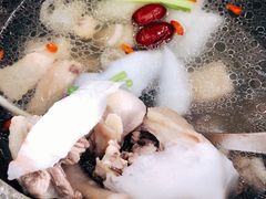 -墨脱石锅椰子鸡•香草鸭•东山羊(大东海店)