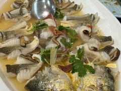 -驻海渔市(置信店)